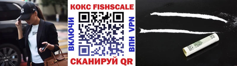 COCAIN FishScale  hydra ссылки  Богородицк  цены наркотик 