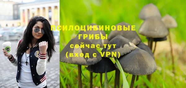 прущий лед Арсеньев