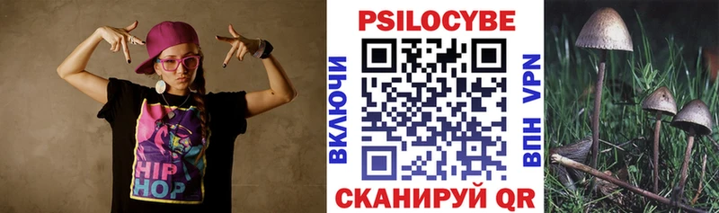 Псилоцибиновые грибы ЛСД купить наркоту Богородицк